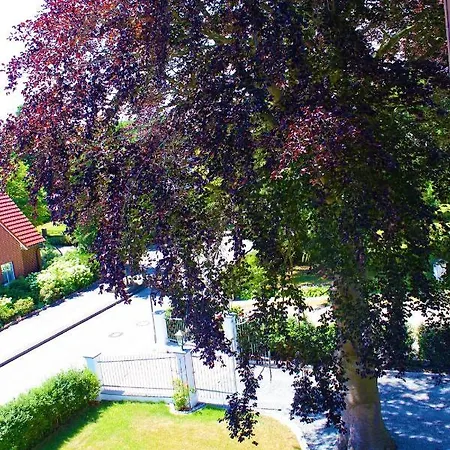 Rosen Villa Kappeln Exterior foto